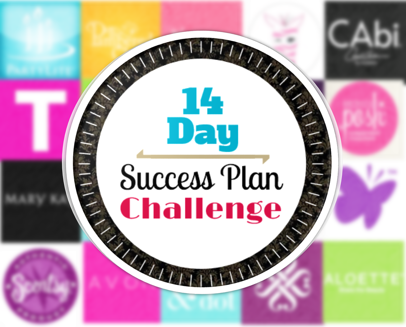 HPM 14 day success plan pic