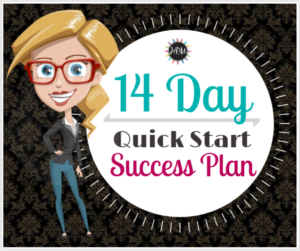 14 Day Quick Start Success Plan challenge direct sellers 940 x 788