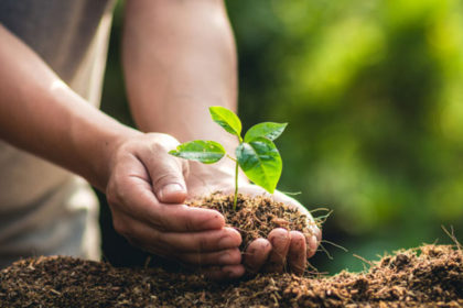 young living donation earth day arbor day foundation treeutah planting trees young living donation earth day arbor day foundation treeutah planting trees
